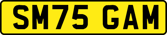 SM75GAM