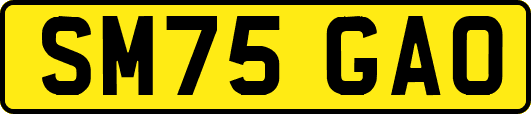 SM75GAO