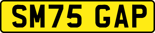 SM75GAP