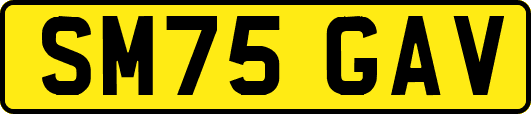 SM75GAV