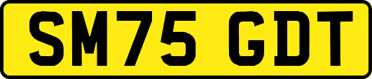 SM75GDT