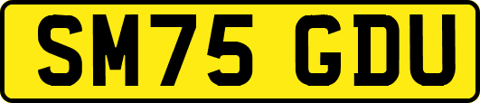 SM75GDU