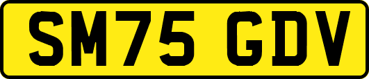 SM75GDV