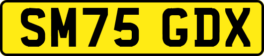 SM75GDX