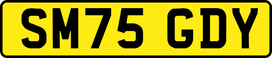 SM75GDY