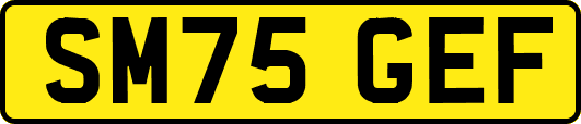 SM75GEF