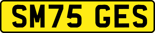 SM75GES