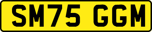 SM75GGM