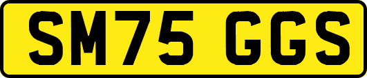 SM75GGS