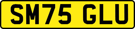 SM75GLU