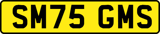 SM75GMS