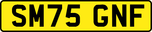 SM75GNF