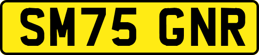 SM75GNR