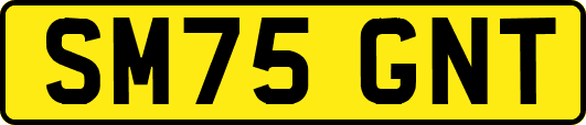 SM75GNT