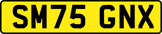 SM75GNX
