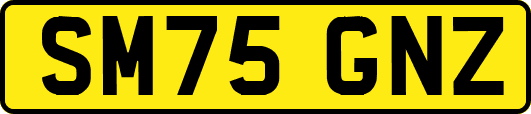 SM75GNZ