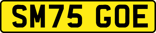 SM75GOE