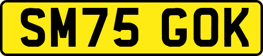 SM75GOK