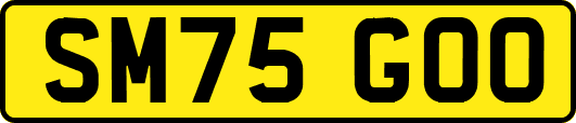 SM75GOO