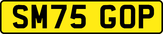 SM75GOP