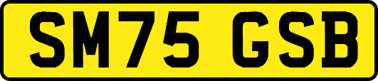 SM75GSB
