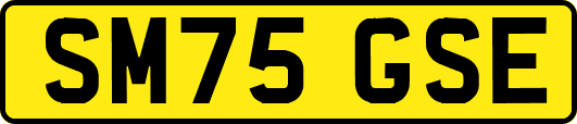 SM75GSE