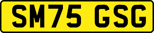 SM75GSG