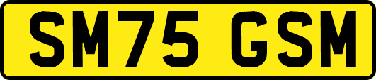 SM75GSM
