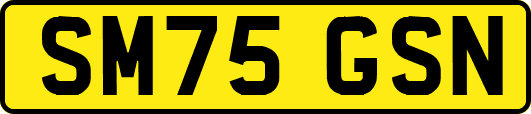 SM75GSN