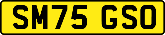 SM75GSO