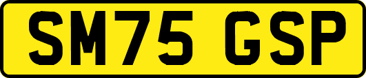 SM75GSP