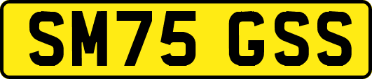 SM75GSS