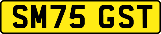 SM75GST