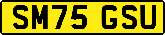 SM75GSU