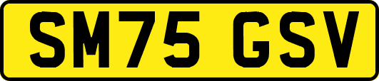 SM75GSV