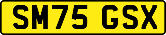 SM75GSX