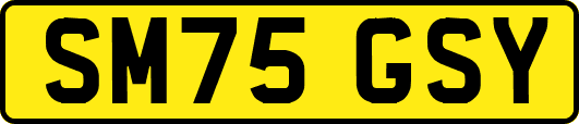 SM75GSY
