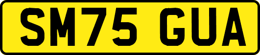 SM75GUA