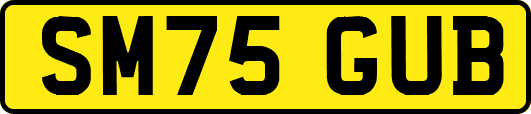 SM75GUB