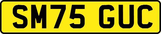 SM75GUC