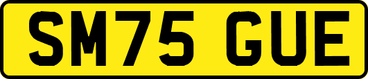 SM75GUE