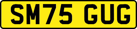 SM75GUG