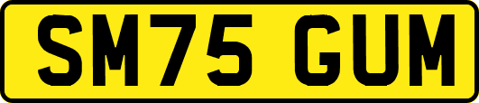 SM75GUM