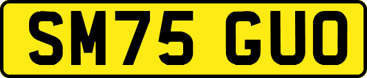 SM75GUO