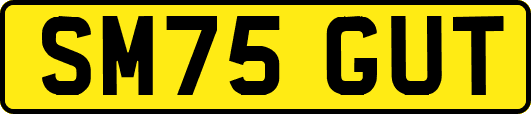 SM75GUT
