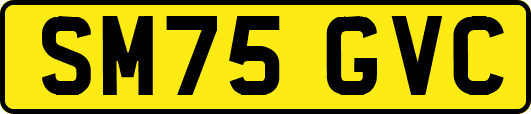 SM75GVC