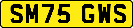 SM75GWS