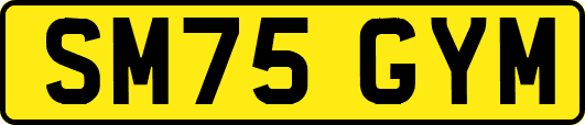 SM75GYM