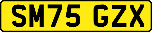 SM75GZX