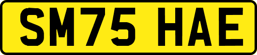 SM75HAE